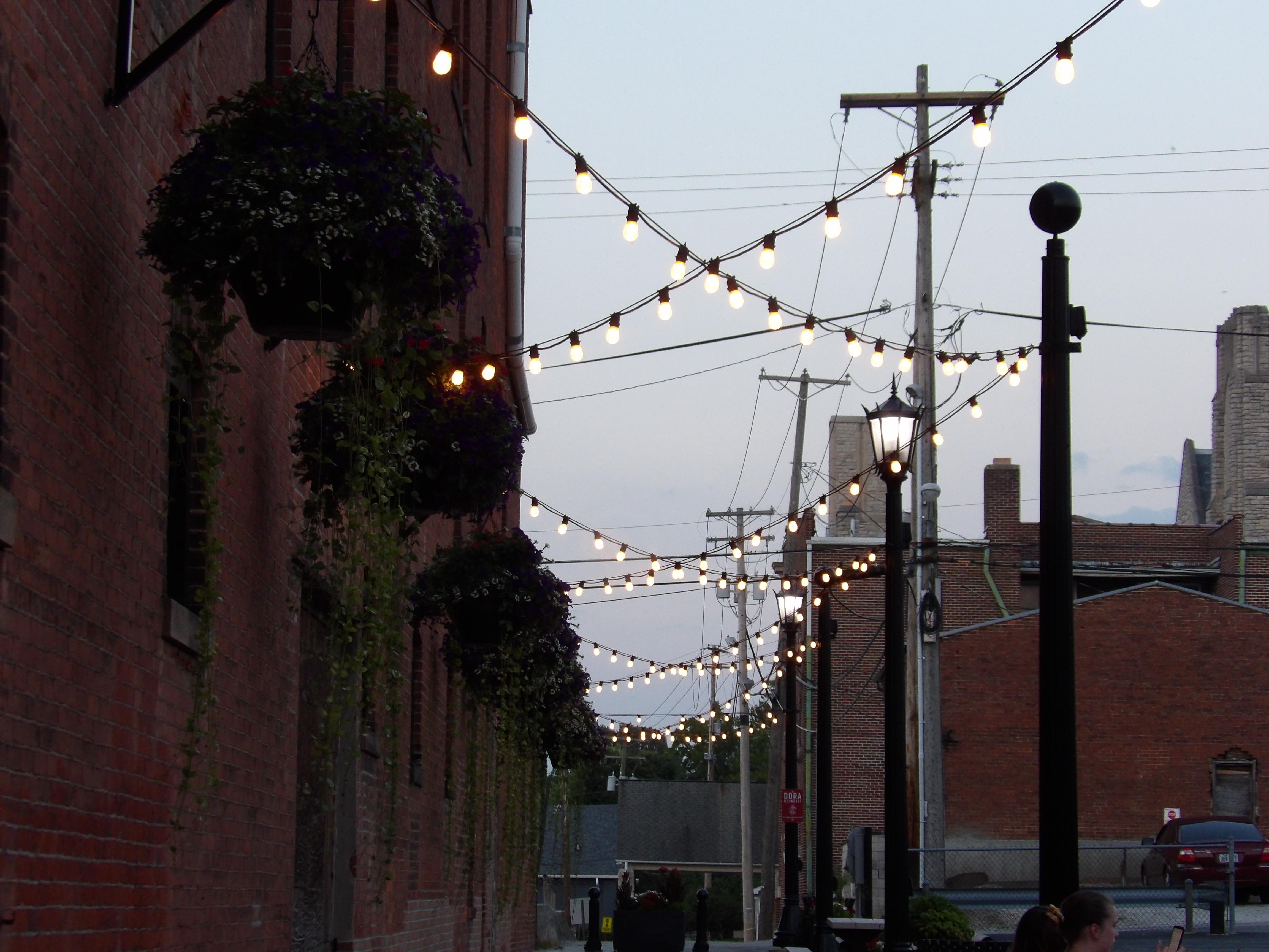 "Cherry Alley at Twilight"