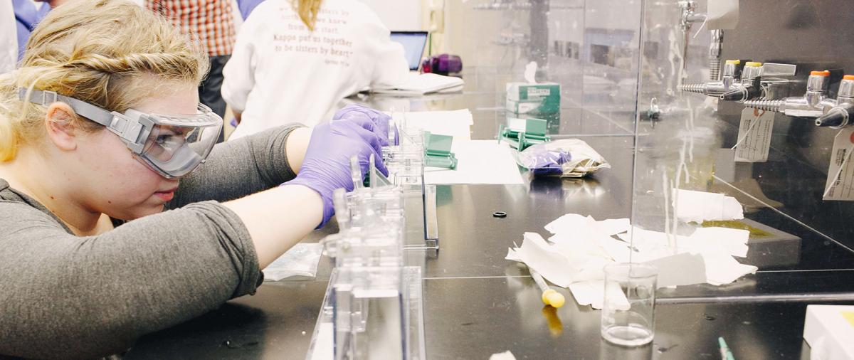 lab work
