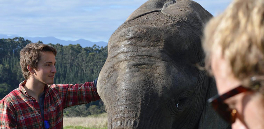 Colin Higgins in South African, elephant