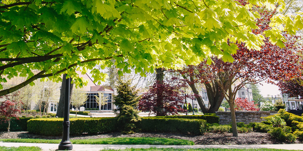 Campus in the spring