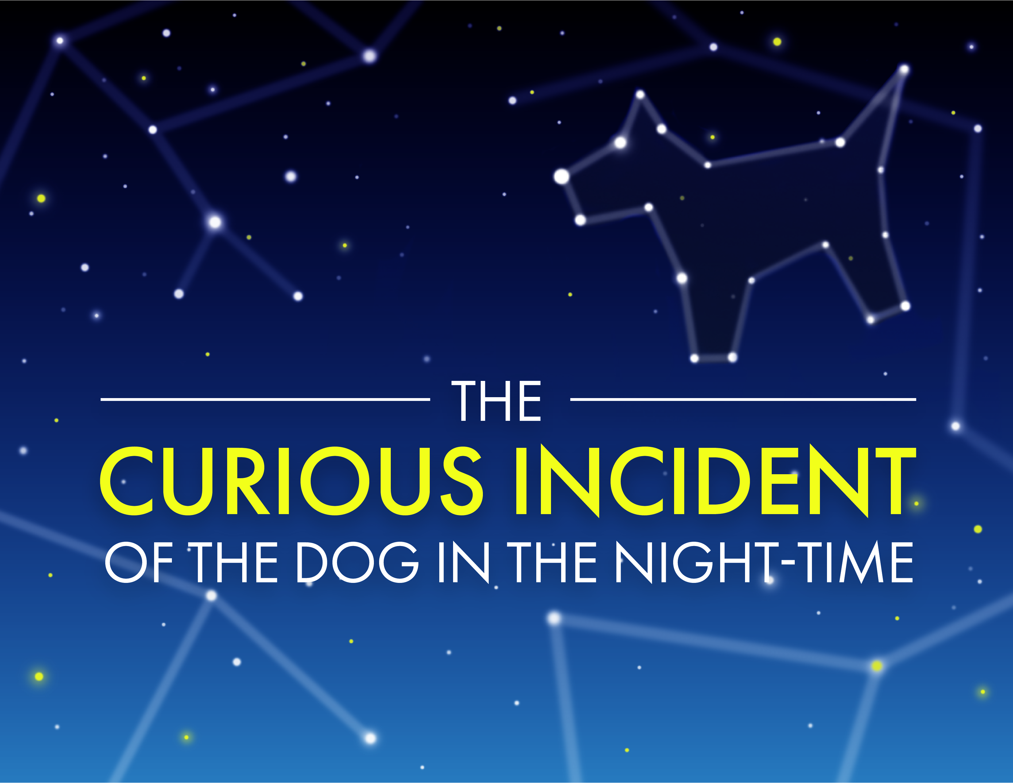The Curious Incident of the Dog in the Night-time