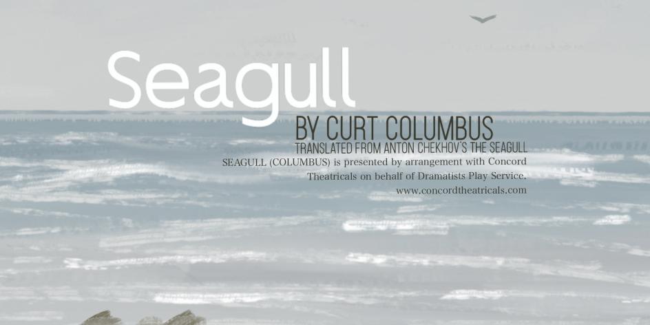 Seagull