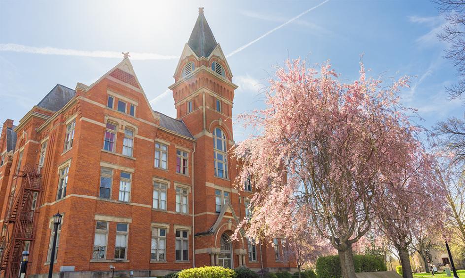 Heidelberg University spring campus photo