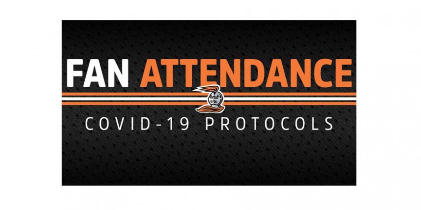 Fan attendance graphic