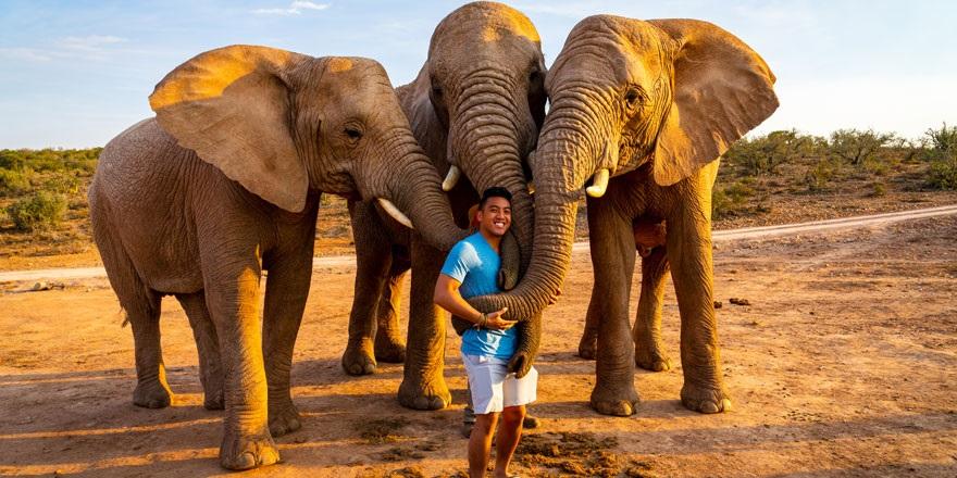 Student poses in photo with three elephants behind him.