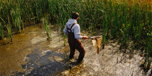 NCWQR key player in H2Ohio wetlands monitoring program