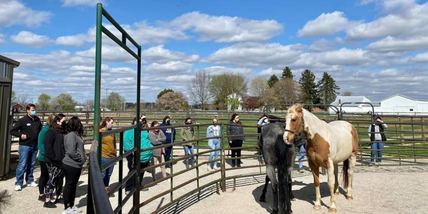 Students pictured to the left of the horse in the stable