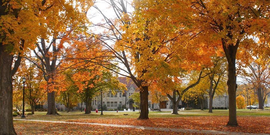 campus trees