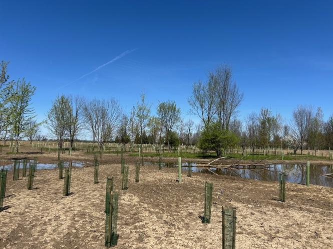 wDeWald-Funk Wetlands H2Ohio
