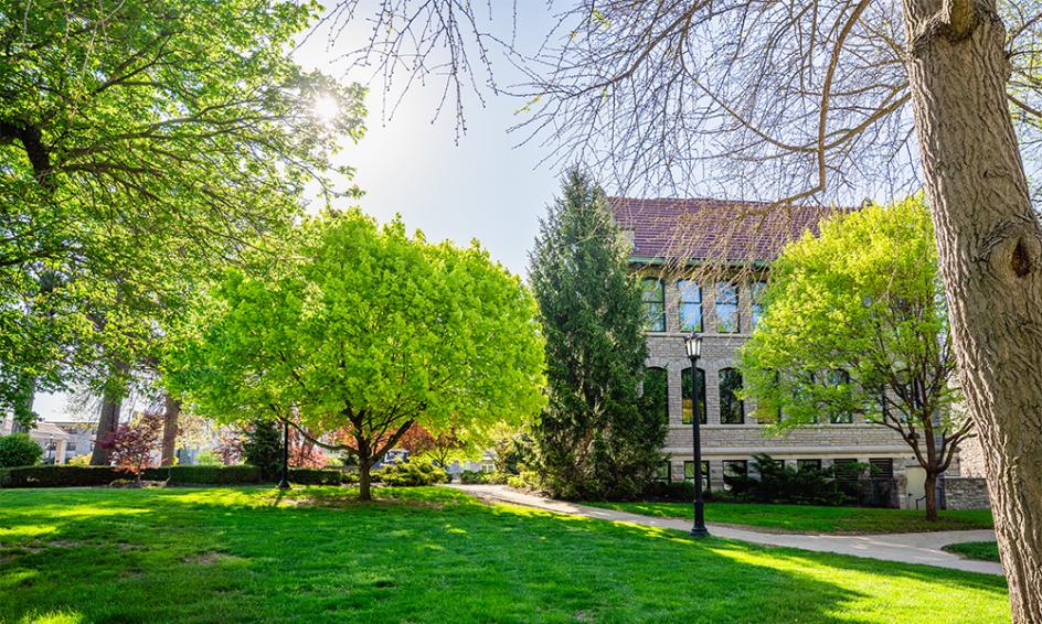 Heidelberg Tree Campus