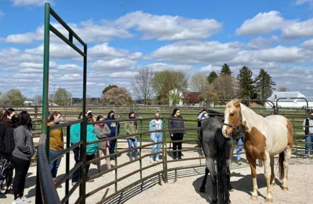 Students pictured to the left of the horse in the stable