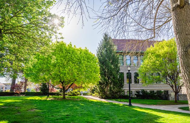 Heidelberg Tree Campus