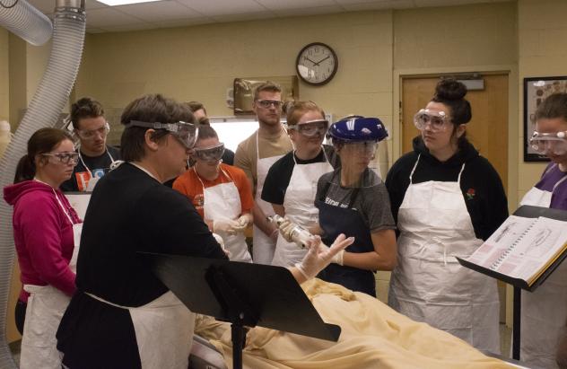 students working with cadaver