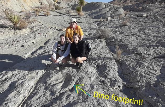 Dr. Amy Berger and Students posing in front of Dinosaur footprint
