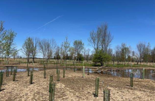 wDeWald-Funk Wetlands H2Ohio