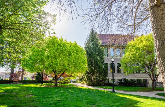 Heidelberg Tree Campus