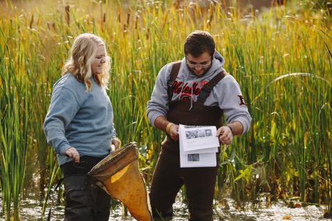 students taking samples from pond
