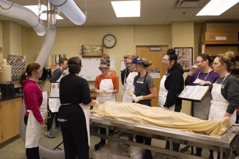 cadaver lab