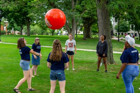 Lawn games