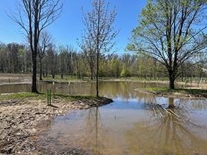 Funk Wetlands